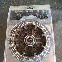 variatore Malossi t max 530