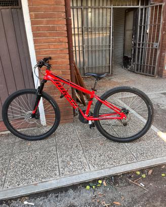 Mountain bike