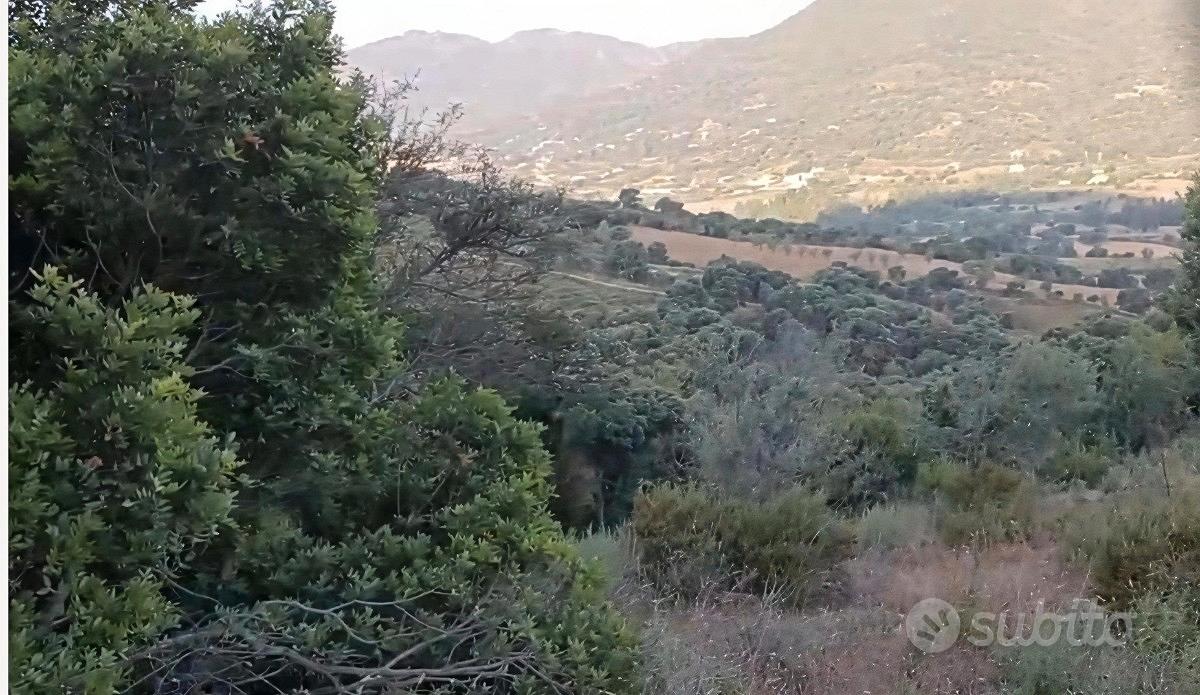 Terreno agriturismo ,agricampeggio ,casa 2 ettari - Vista 3
