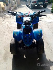 quad 110 cc