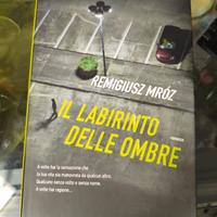 Il Labirinto delle Ombre