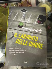 Il Labirinto delle Ombre