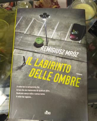 Il Labirinto delle Ombre