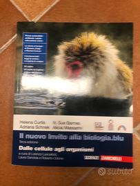 Libri