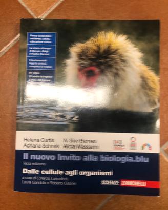Libri
