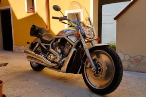 VRod CENTENARIO pochi Km, circa 18 mila.
