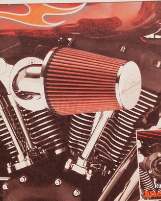 STAFFA X FILTRO ARIA H-D SOFTAIL HERITAGE