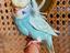Immagine 5