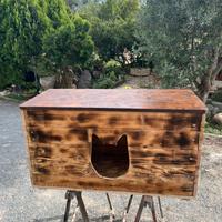 Cuccia gatto