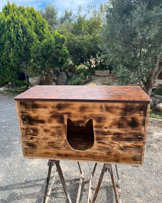 Cuccia gatto