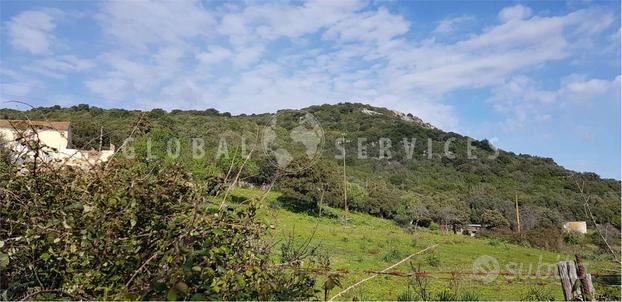 Terreno Agricolo a Arzachena