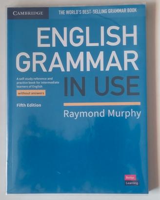 English Grammar in use
