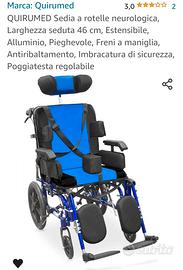 Sedia a rotelle 
