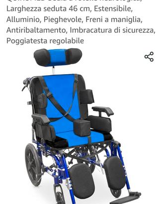 Sedia a rotelle 