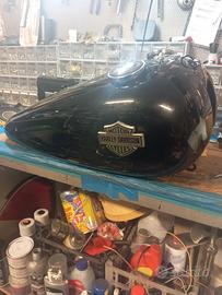 Harley Davidson e altro