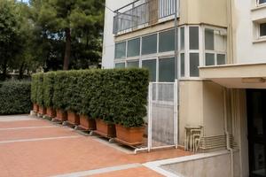 Asta - 4Vani+Garage - Catania-Scogliera