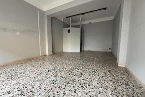 Negozio Vignola [N 1444VCG]