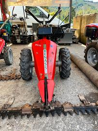 MOTOFALCE FC209 - BENASSI