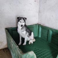 Attende la sua famiglia per sempre