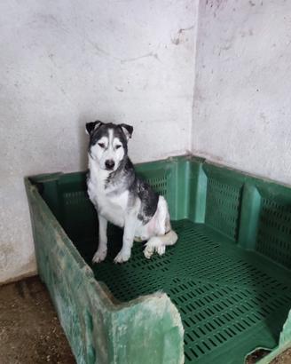 Attende la sua famiglia per sempre