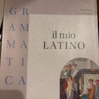 Il mio latino. Grammatica