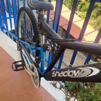 bicicletta  Mountain Bike