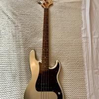 Basso Elettrico Professionale