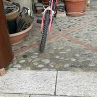 Bicicletta 18 