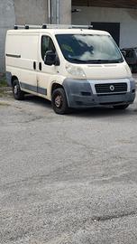 furgone ducato 2008