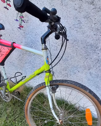 Mountain bike 
