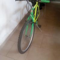 Bicicletta Mountain bike