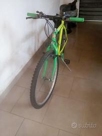 Bicicletta Mountain bike