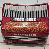 Fisarmonica Borgna 120b. 4 voci super musette 