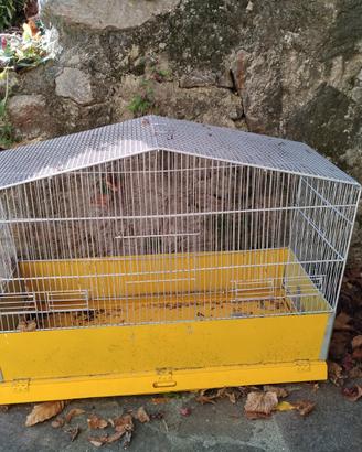 Gabbia per uccelli