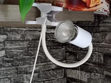 lampada con molettone