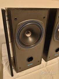 Tannoy DC1000