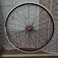 Ruota posteriore rim Mavic Aksium