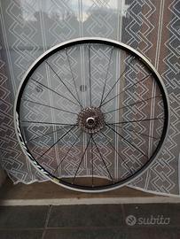 Ruota posteriore rim Mavic Aksium