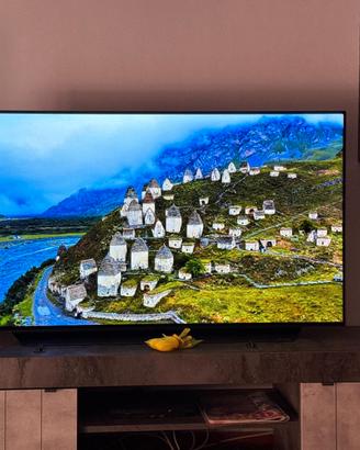 TV oled LG C1 48