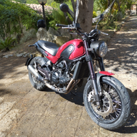 Benelli Leoncino 500 TRAIL - Una Tigre