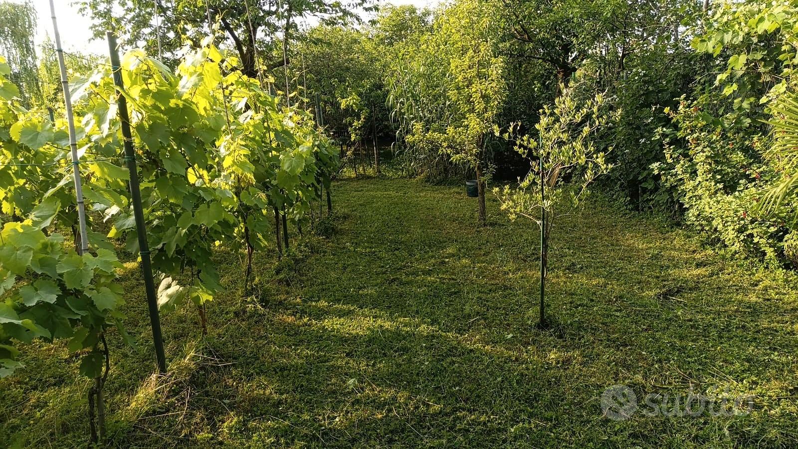 Terreno agricolo a Gessate - Vista 3