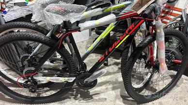 Mountainbike