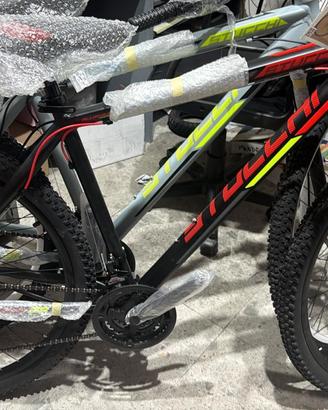 Mountainbike