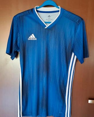 Tshirt Adidas sport Climalite blu, tg. XS uomo