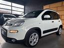 fiat-panda-1-0-firefly-hybrid-40-000km-neopatentat