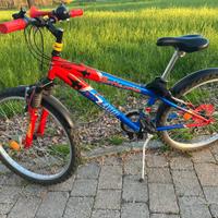 Bicicletta Bottecchia 488 ruote 24