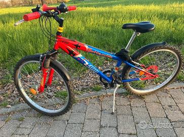 Bicicletta Bottecchia 488 ruote 24