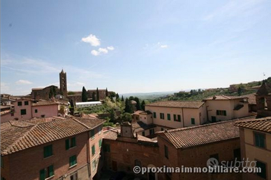 Libero posto letto camera grande per ragazze