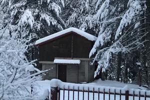 Baita "La Casetta di Diana" Sila Camigliatello