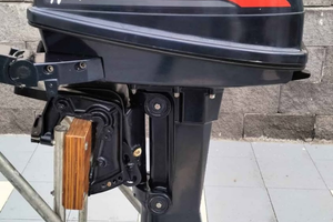 Fuoribordo selva 15 cv